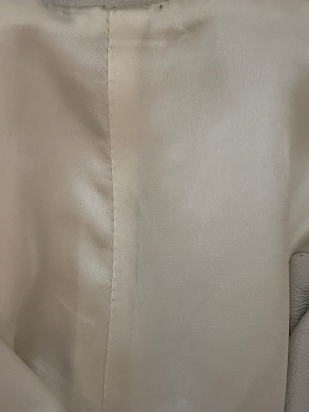 Boston Proper Off White Genuine Leather Pants Size 10 Like New - Picture 8 of 9